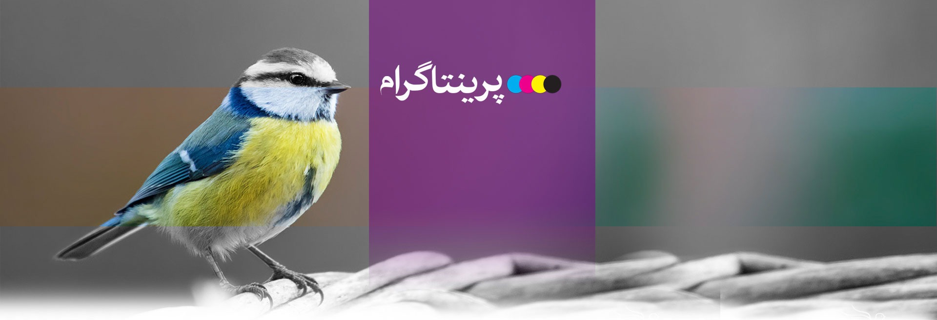 پرینتگرام: بالاترین کیفیت در انجام خدمات چاپ